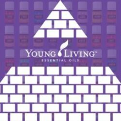 Young Living Scam